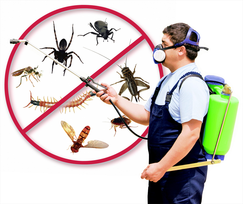 شركة الفهد لنظافة ومكافحة الحشرات